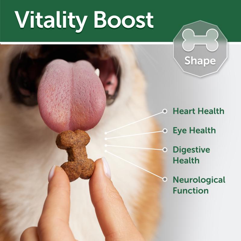 Adult Dog Snacks for Endurance with Lamb - Kika USA SuperiorCare.Pet