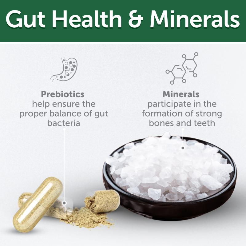 Adult Dog Snacks for Weight Control with Herring - Kika USA SuperiorCare.Pet