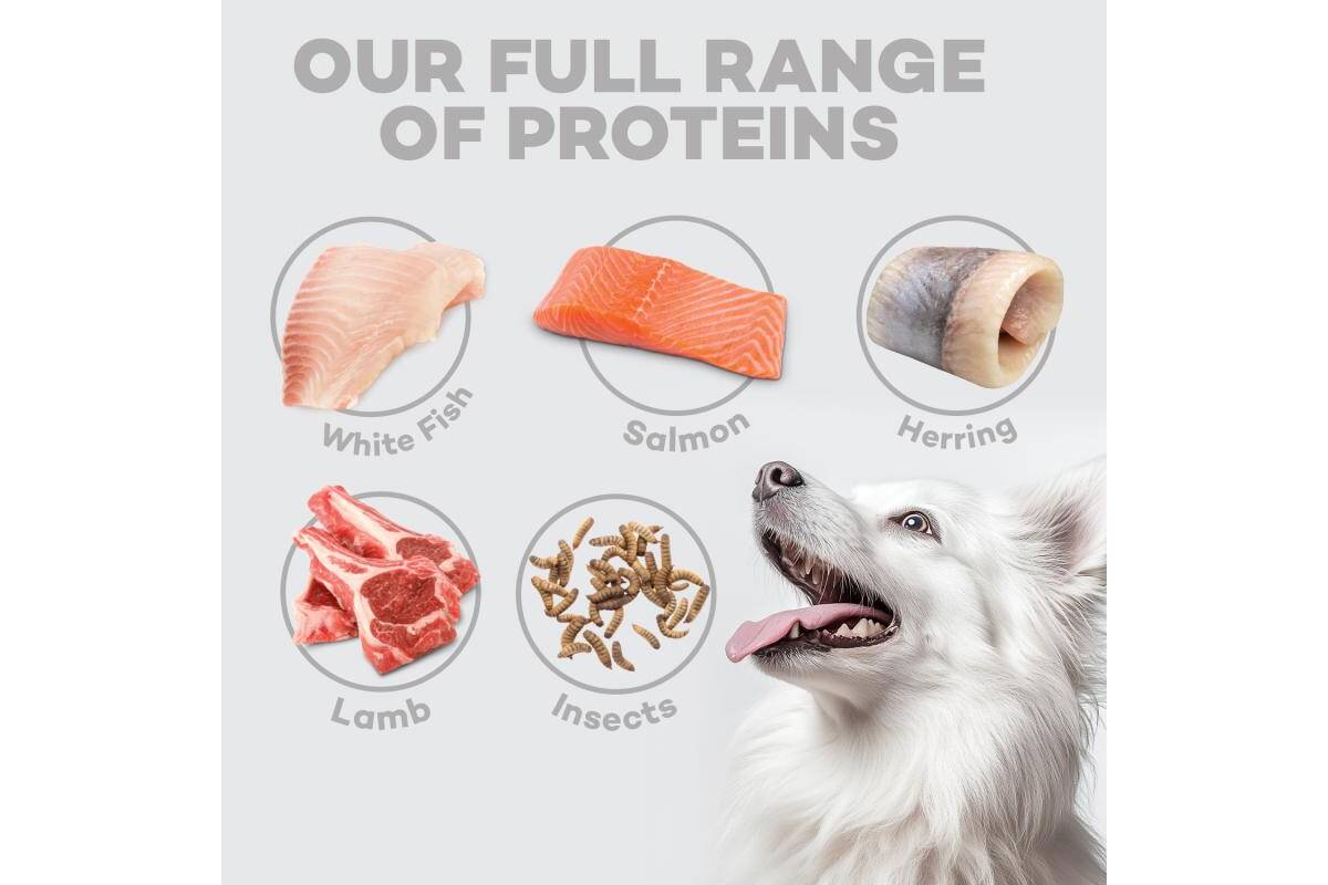 Adult Light Coated Dogs Supplemental Dental Snacks with White Fish - Kika USA SuperiorCare.Pet