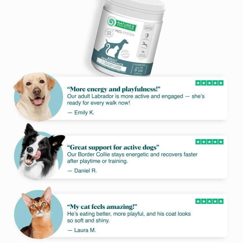Adult Performance Mineral Supplement for Strong Bones, Muscle Recovery & Detox - Kika USA SuperiorCare.Pet