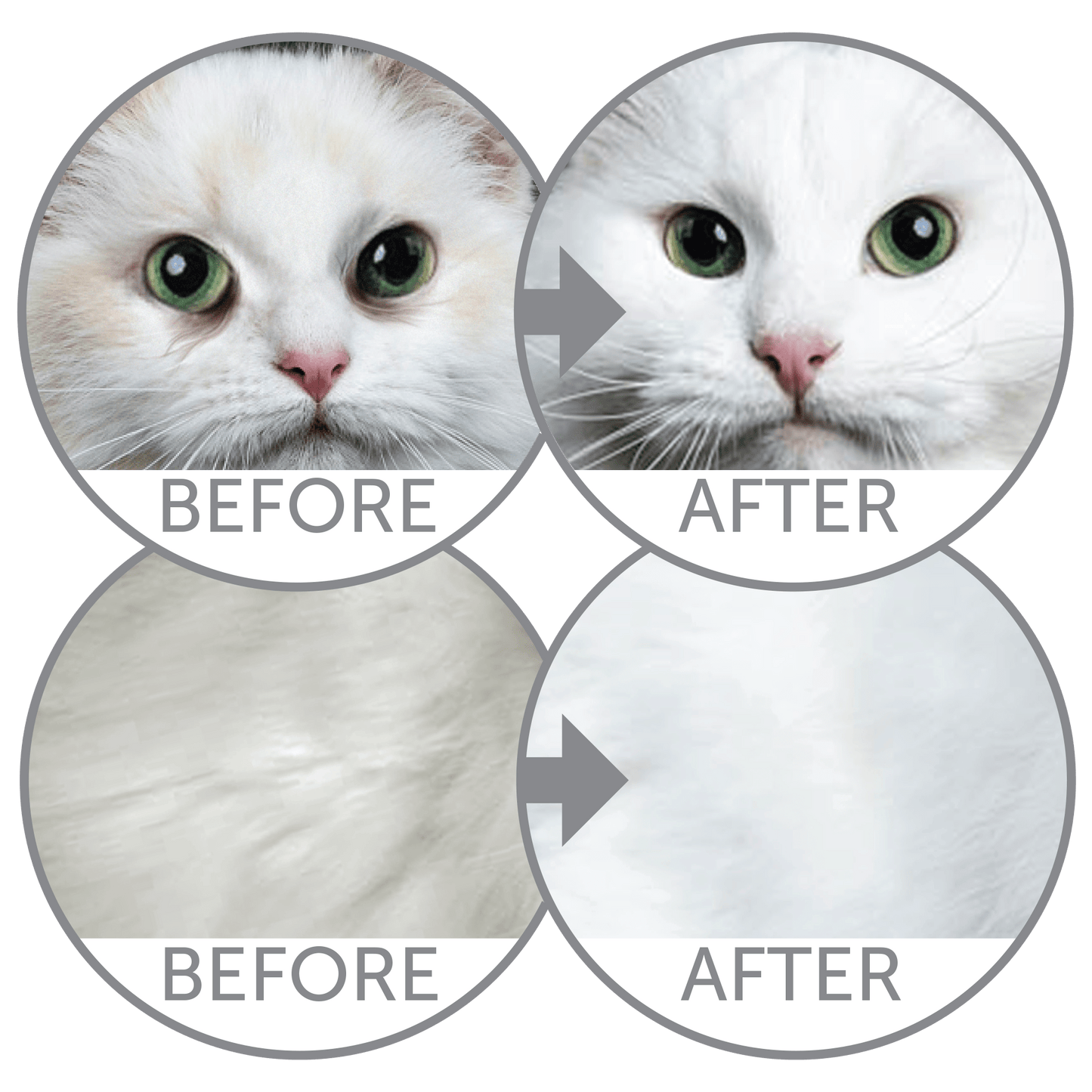 CLEARANCE Adult Light Coat Cats Dry Food with Herring – For All Breeds - Kika USA SuperiorCare.Pet