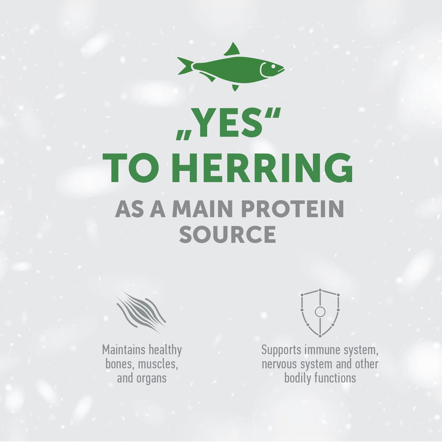 CLEARANCE Adult Light Coat Cats Dry Food with Herring – For All Breeds - Kika USA SuperiorCare.Pet