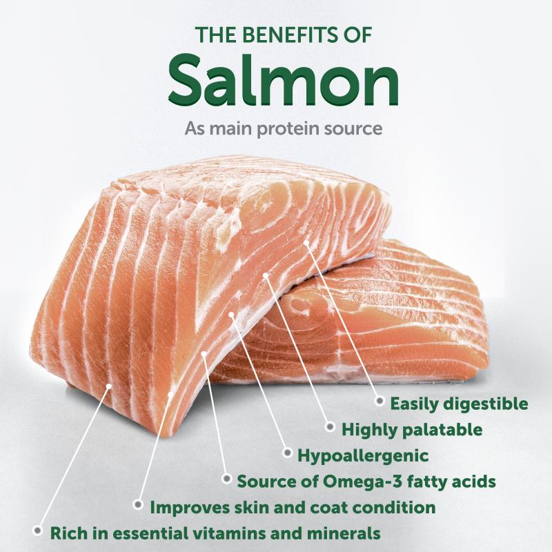 CLEARANCE All Life Stages Dog Food for Red Coat All Breeds with Salmon & Krill - Kika USA SuperiorCare.Pet