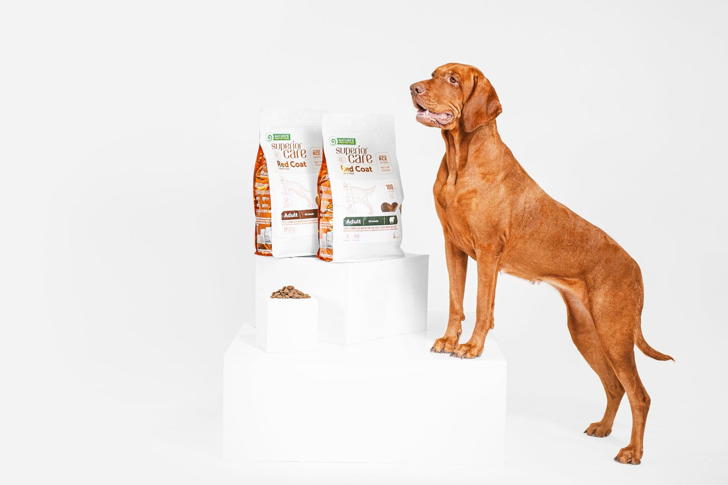 CLEARANCE All Life Stages Dog Food for Red Coat All Breeds with Salmon & Krill - Kika USA SuperiorCare.Pet