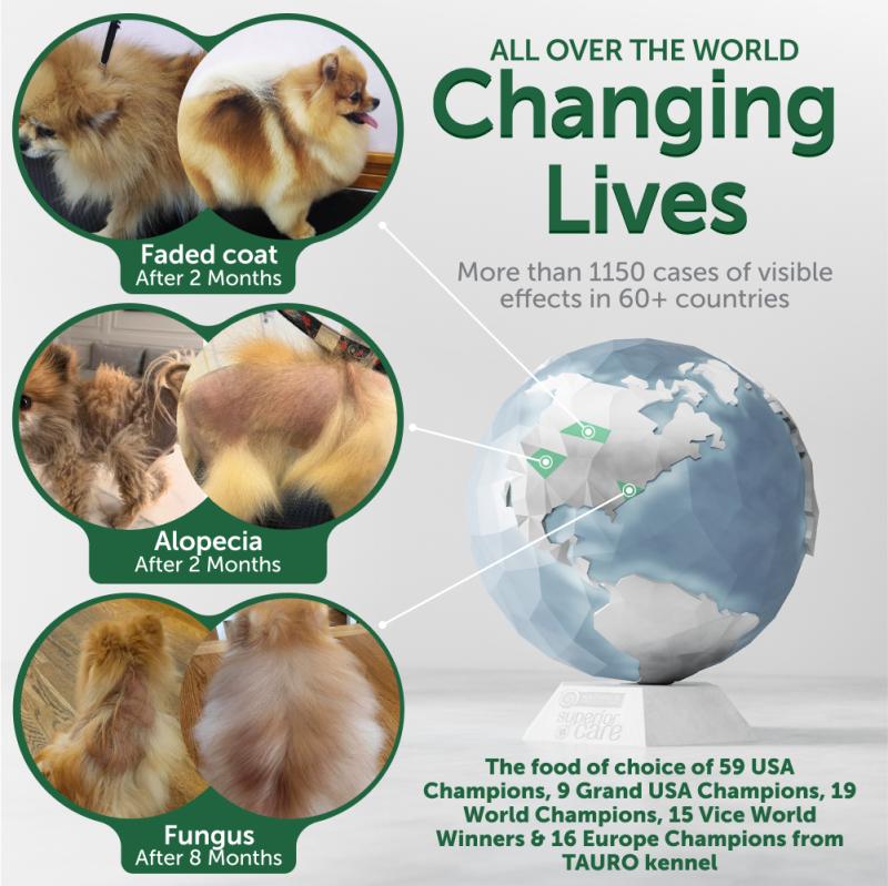 CLEARANCE All Life Stages Dog Food for Red Coat Small & Mini Breeds with Lamb - Kika USA SuperiorCare.Pet