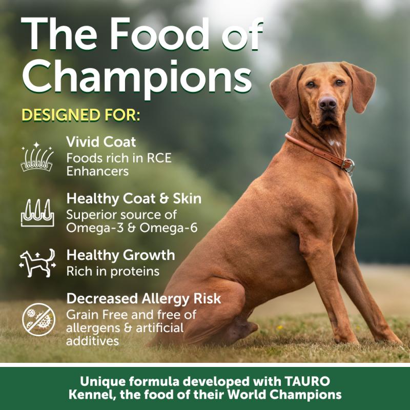 CLEARANCE Junior Dogs Food for Red Coat Small Breeds with Salmon - Kika USA SuperiorCare.Pet