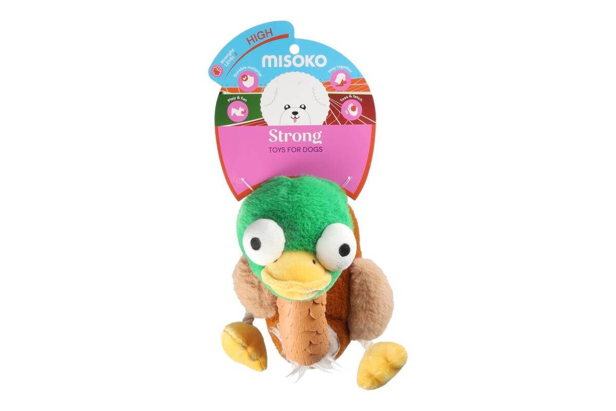 Dog Toy with Squeaker – Duck - Kika USA SuperiorCare.Pet