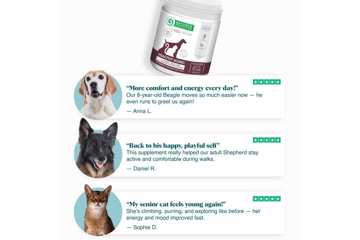 Healthy Aging – Senior Pet Supplement for Bone Strength, Neuromuscular Balance & Detox Support - Kika USA SuperiorCare.Pet