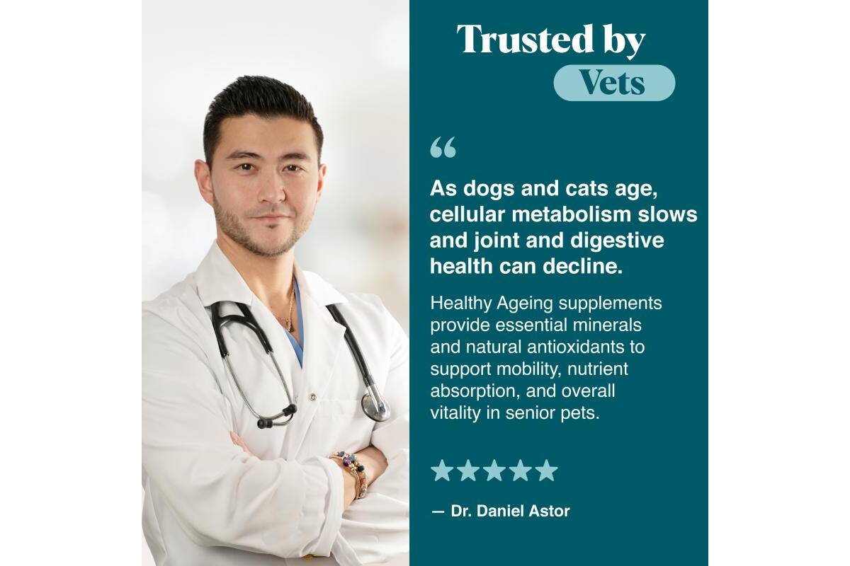 Healthy Aging – Senior Pet Supplement for Bone Strength, Neuromuscular Balance & Detox Support - Kika USA SuperiorCare.Pet