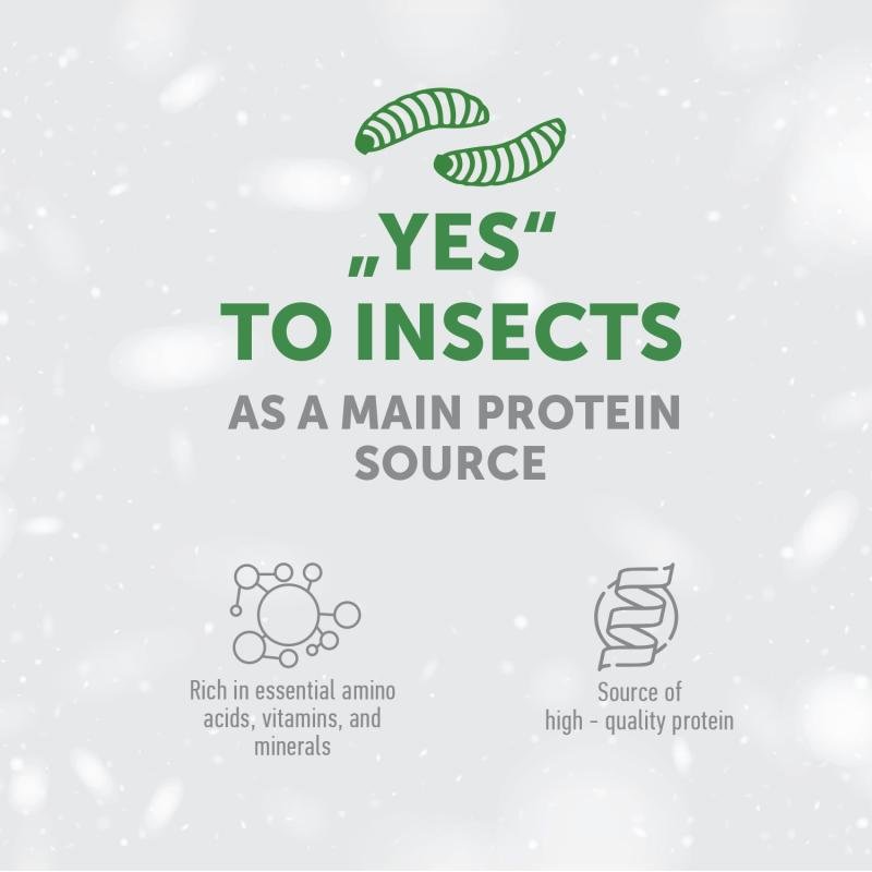 Junior Dog snacks for Gums & Oral Care with Insects - Kika USA SuperiorCare.Pet