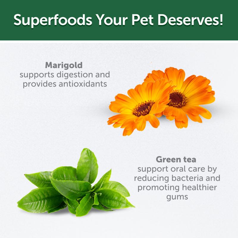 Junior Dog snacks for Gums & Oral Care with Insects - Kika USA SuperiorCare.Pet