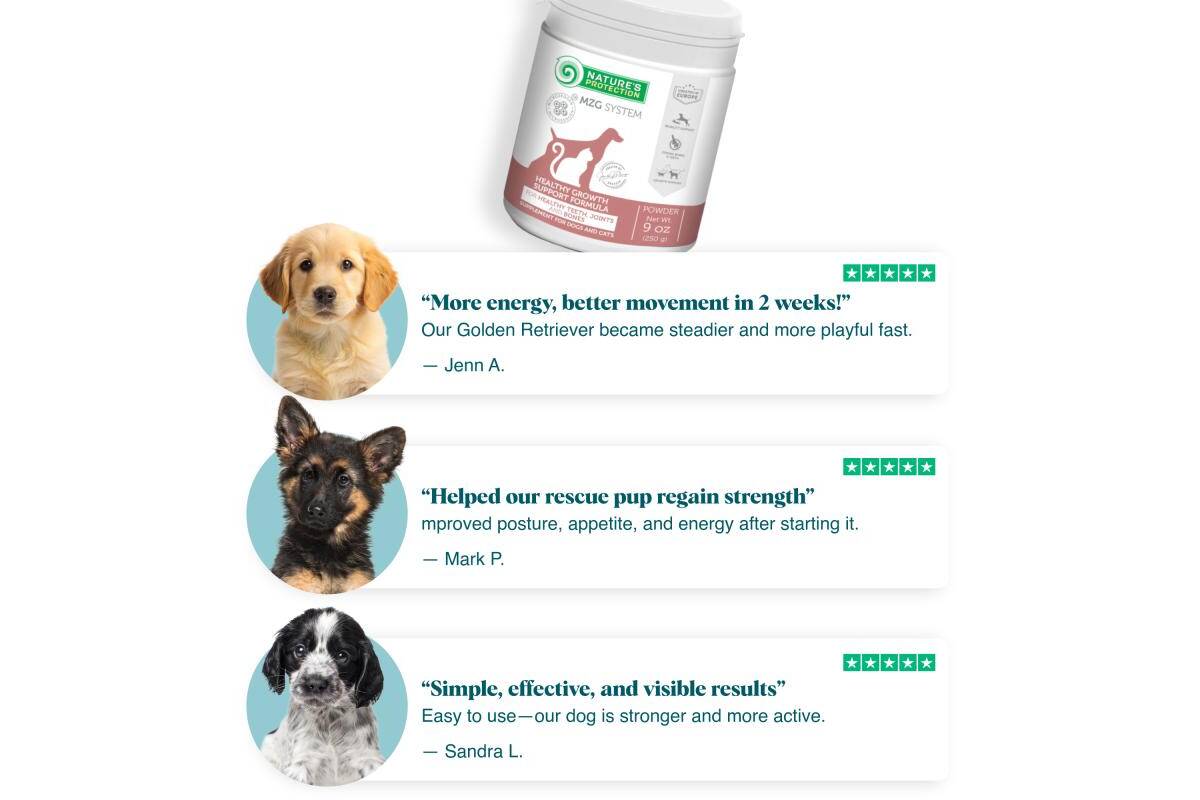 Mineral - Rich Puppy Supplement for Bone Strength, Joint Health & Detox Support - Kika USA SuperiorCare.Pet