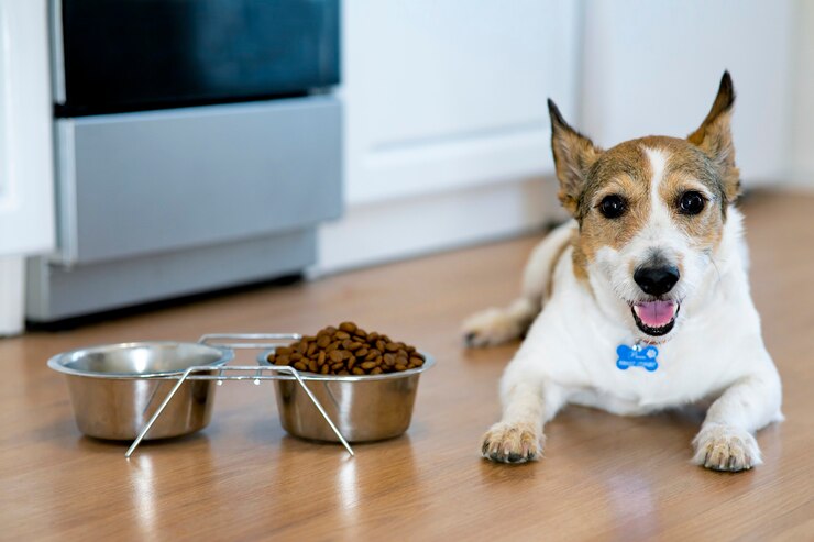 Top rated dry dog food for small dogs clearance